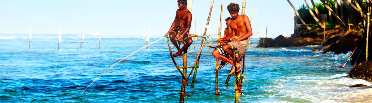 Los pescadores zancudos de Sri Lanka