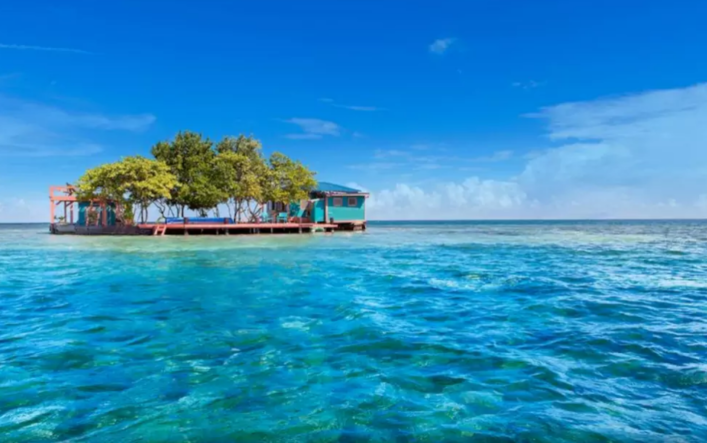 bird-island-placencia-belize-2