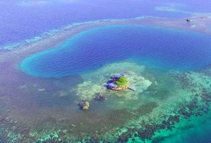 bird-island-placencia-belize