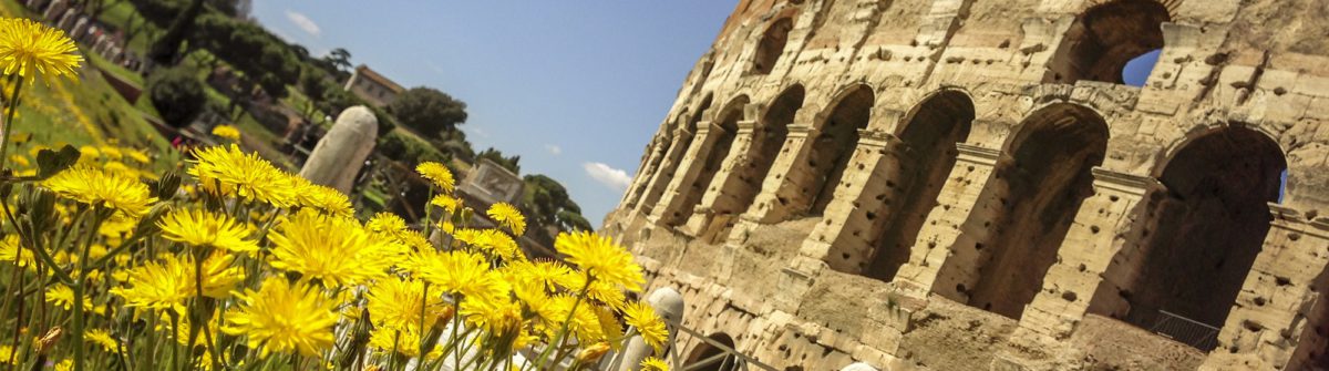 coliseum-and-summer-in-rome-shot-with-smartphone-istock_000023522163_large