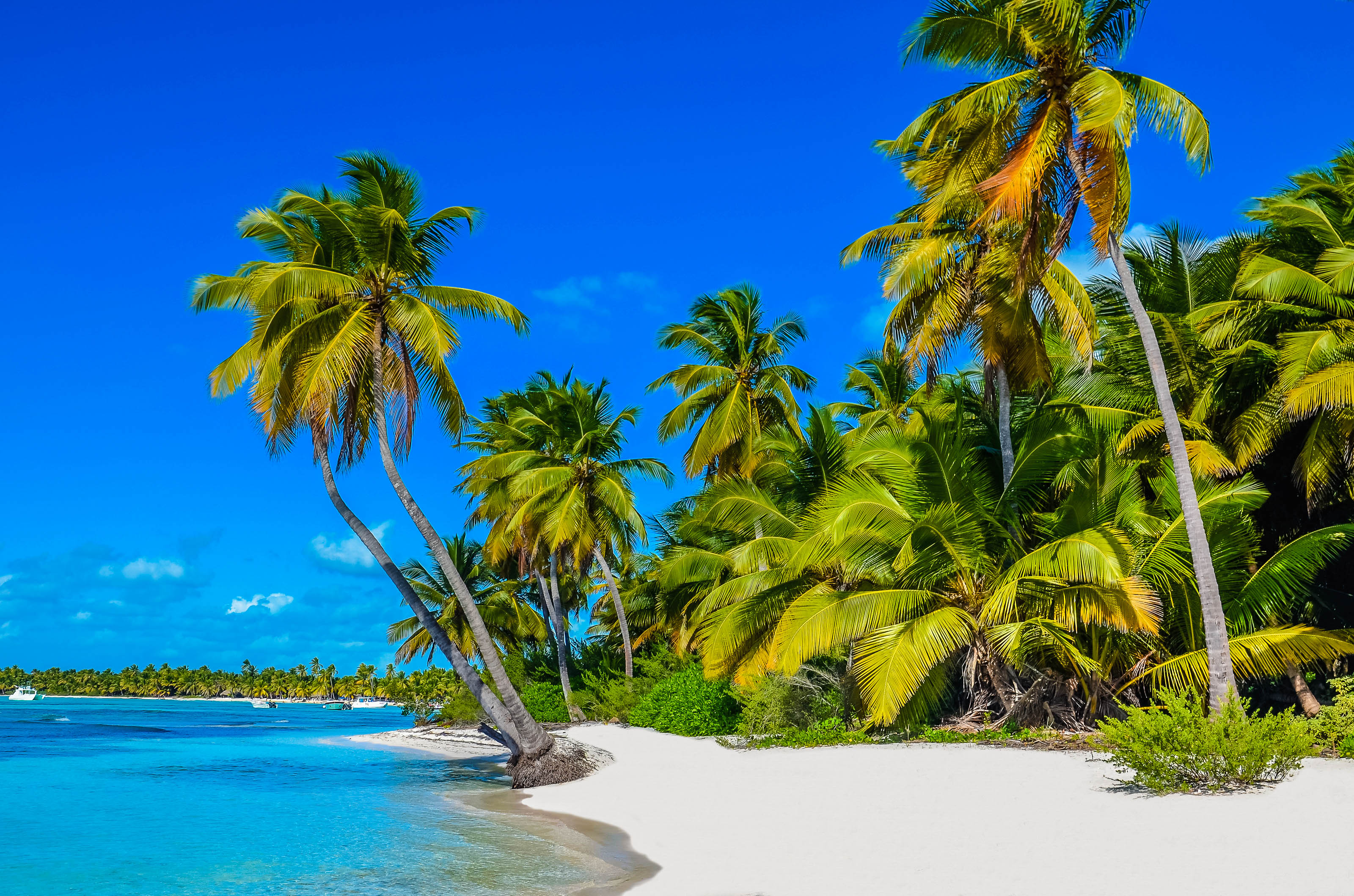 Crucero por islas del Caribe durante 7 noches en régimen todo incluido