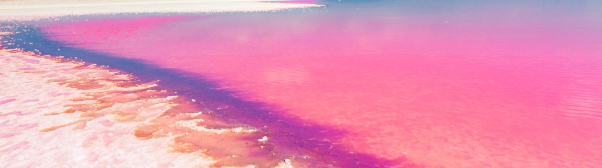 Laguna Salada de Torrevieja,Spain shutterstock_109572149-2
