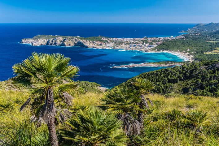 palmera en primer plano, vista aerea de costa con agua oscura y pequeño pueblo al fondo
