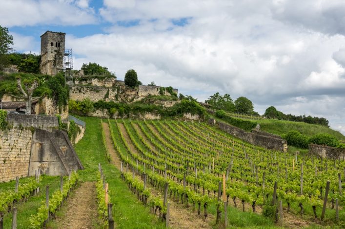 Descubre Las Regiones Vin Colas De Francia En Este Art Culo