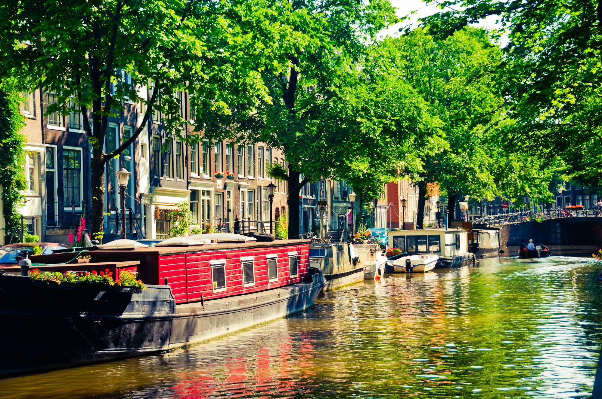 Cosas que hacer en Ámsterdam