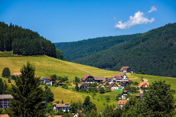 selva negra suiza chamonix