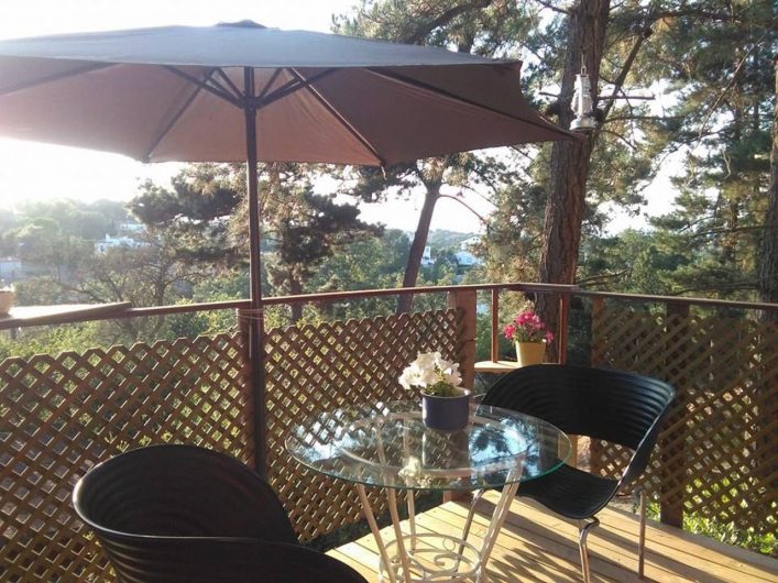 HG_ES_airbnb_CABANA-CEL-sobre-pinos-con-BANO-COCINA-y-CHILLOUT-2