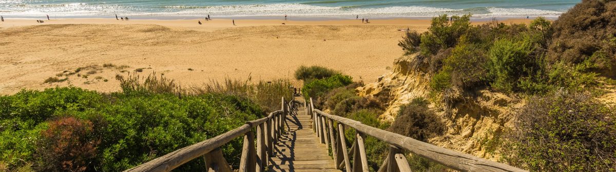 Wooden runway within Mazagon beach, Huelva, Spain_508246123
