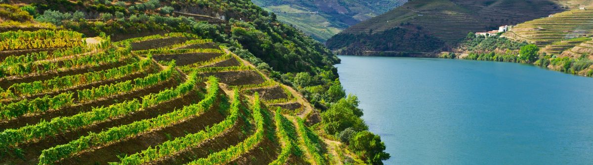 douro-valley-shutterstock_161189531