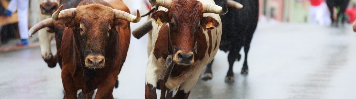 san-fermin-bulls-pamplona-navarra-shutterstock_480223837-x2000