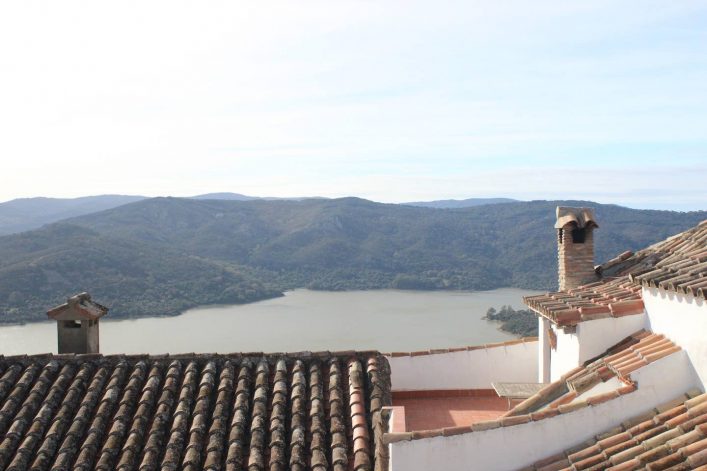 10dd173c-b3a3-4041-896a-11594bfa0c76