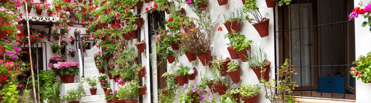 Spring-Flowers-Decoration-of-Old-House-Patio-Cordoba-Spain-Europe_179691584-1