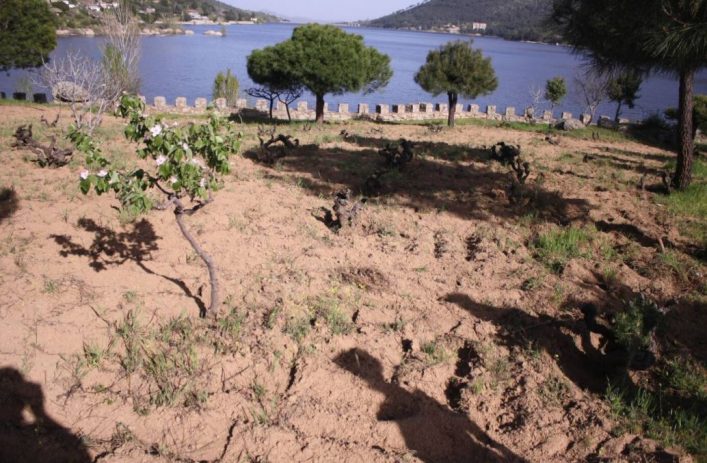 HG_ES_AIRBNB_ElBarraco3