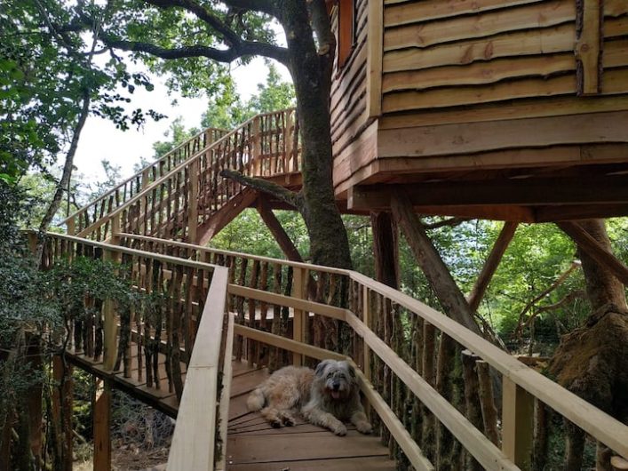 Casas árbol en España