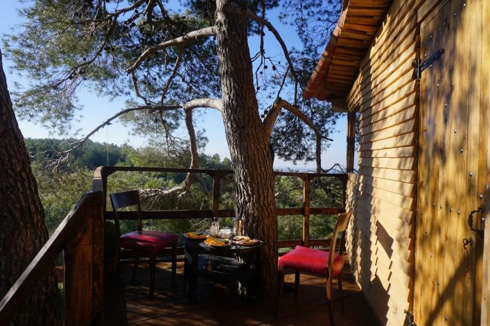 ea665881-6cb5-40d1-a592-80c6ade8fa13