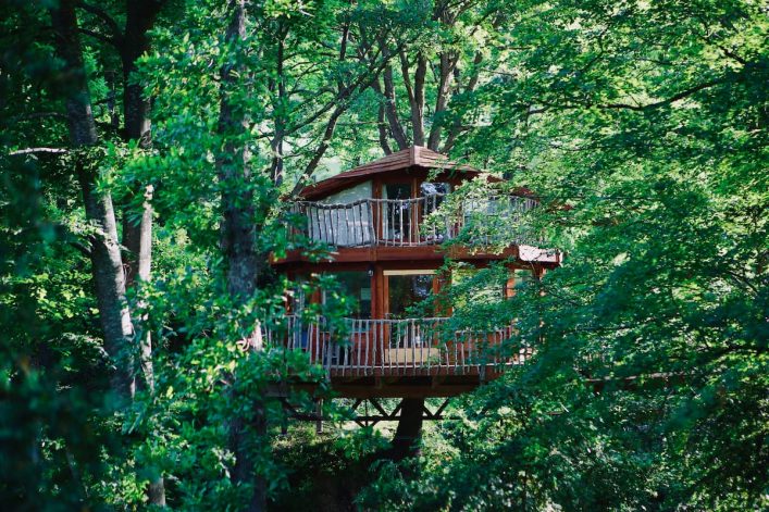 fe1d688a-73d9-4fc9-b81d-54ec84c15692-1