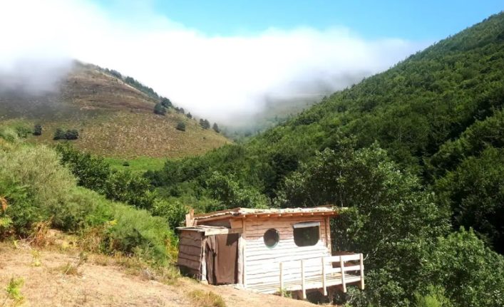 Captura-de-pantalla-2024-10-11-112233