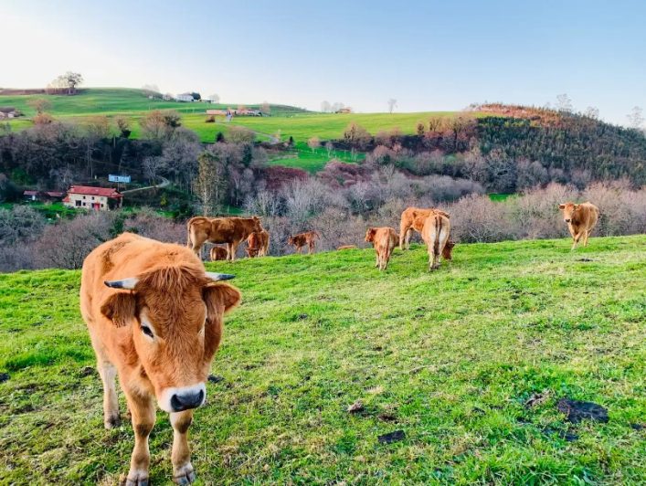 Captura-de-pantalla-2024-10-11-112435