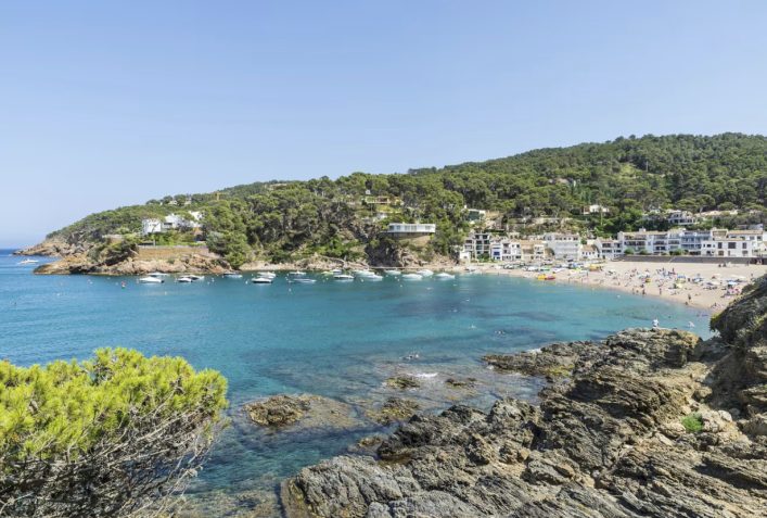 Captura-de-pantalla-2025-05-20-120032